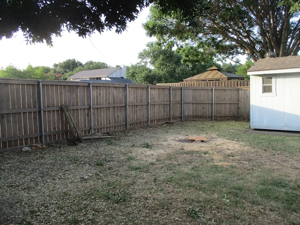 Cleared yard after professional tree removal in Bird In Hand
