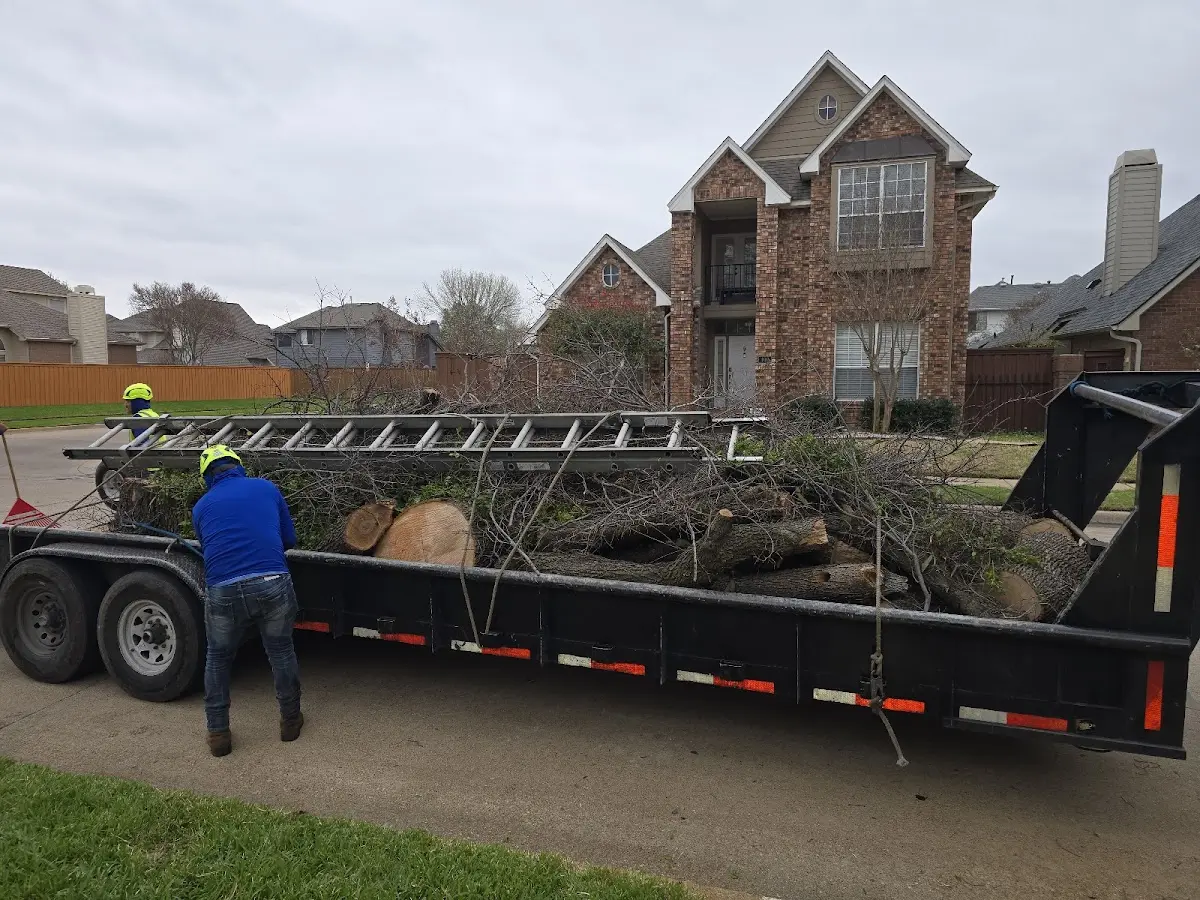 Expert Tree Fertilization with proper safety equipment in Bird In Hand
